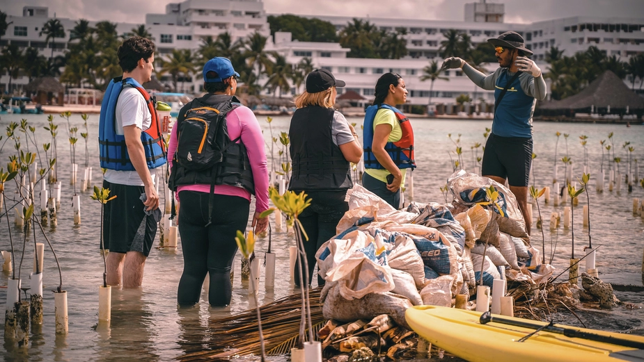 Planting coral domes at Boca Chica