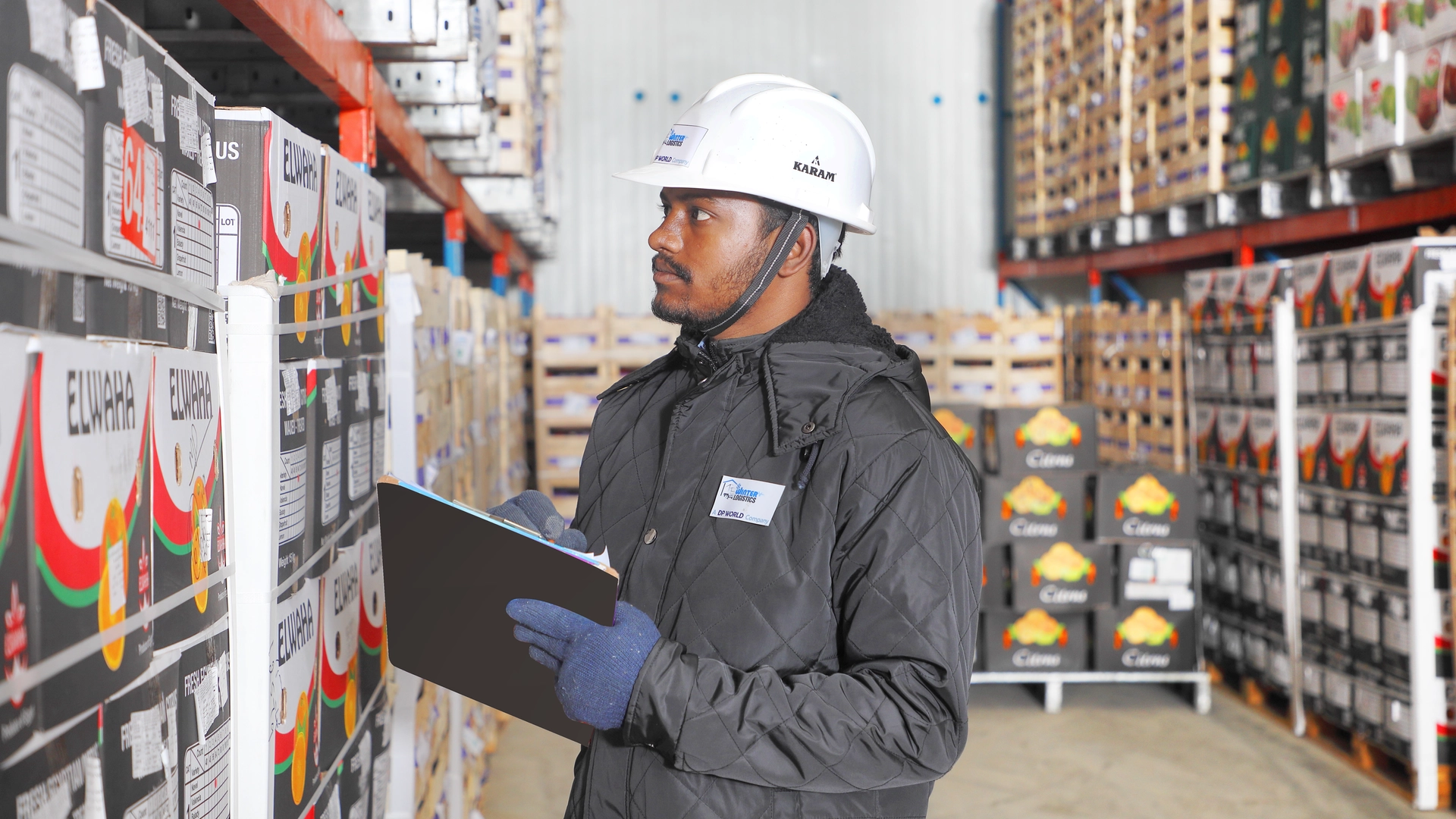DP World warehouse staff inspecting inventory