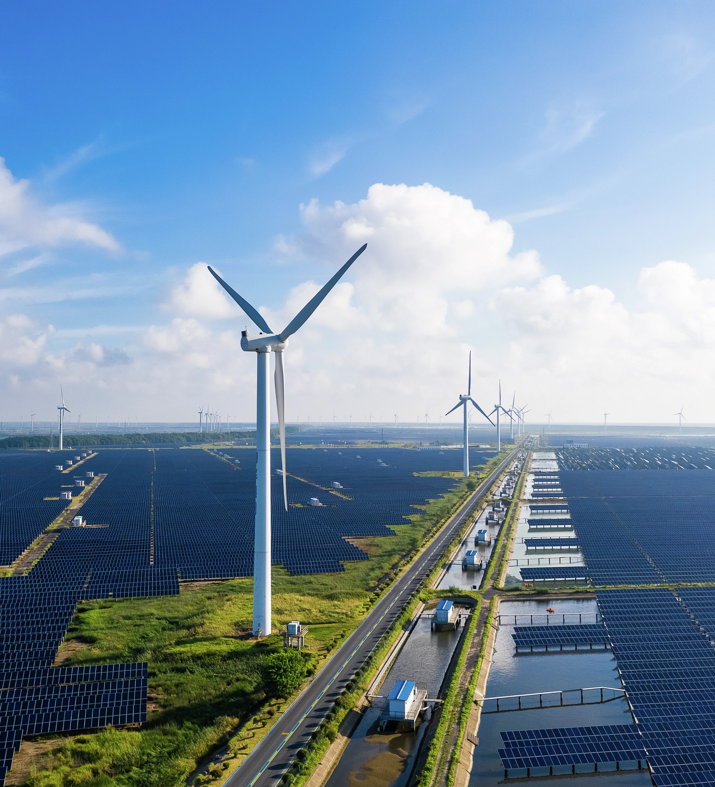 Renewable Energy Logistics | Green Energy Logistics | DP World
